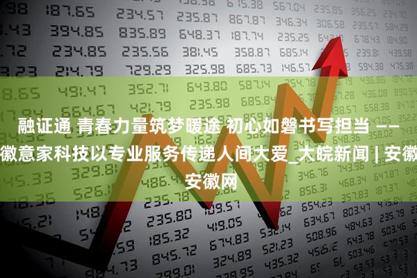 融证通 青春力量筑梦暖途 初心如磐书写担当 ——安徽意家科技以专业服务传递人间大爱_大皖新闻 | 安徽网
