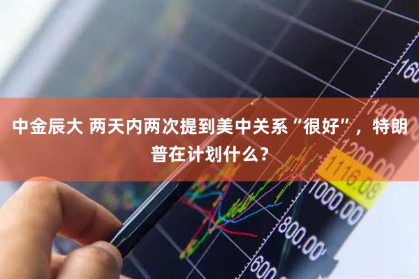 中金辰大 两天内两次提到美中关系“很好”，特朗普在计划什么？