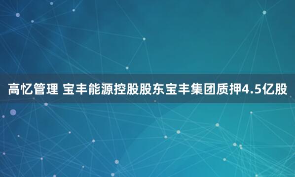高忆管理 宝丰能源控股股东宝丰集团质押4.5亿股