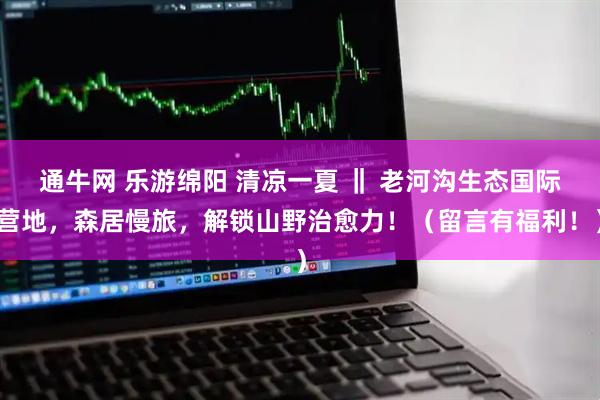 通牛网 乐游绵阳 清凉一夏 ‖ 老河沟生态国际营地，森居慢旅，解锁山野治愈力！（留言有福利！）