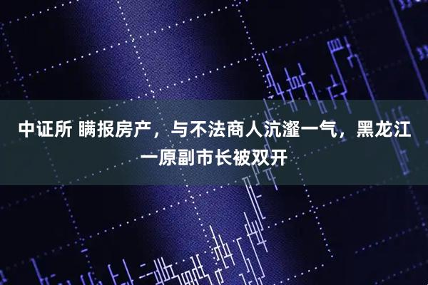 中证所 瞒报房产，与不法商人沆瀣一气，黑龙江一原副市长被双开