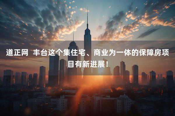 道正网  丰台这个集住宅、商业为一体的保障房项目有新进展！