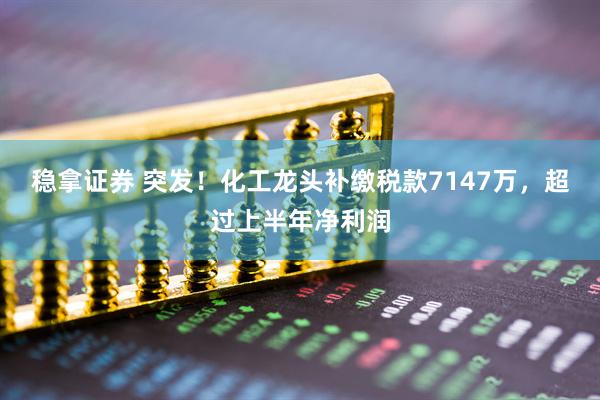 稳拿证券 突发！化工龙头补缴税款7147万，超过上半年净利润