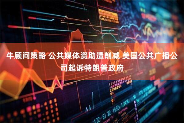 牛顾问策略 公共媒体资助遭削减 美国公共广播公司起诉特朗普政府